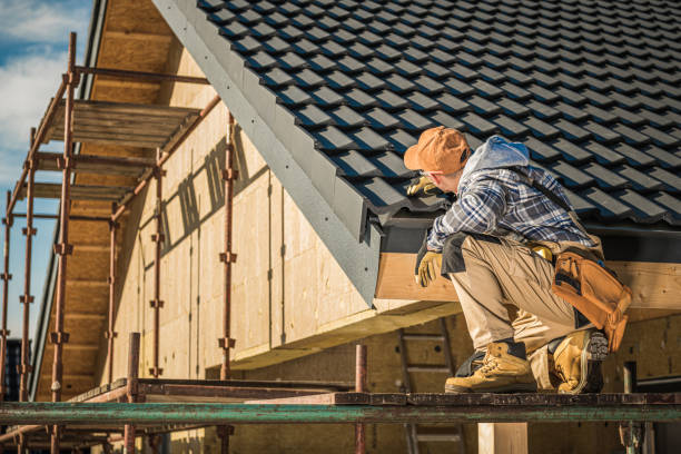 Best Skylight Installation and Repair  in Lone Oak, TN